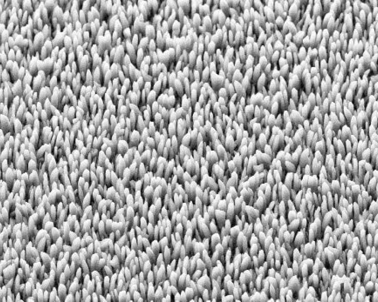 glancing angle deposition